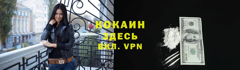 COCAIN Эквадор  где продают   Краснослободск 